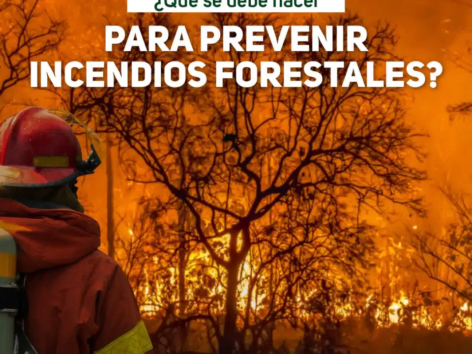 ¿Qué se debe hacer para prevenir incendios forestales?